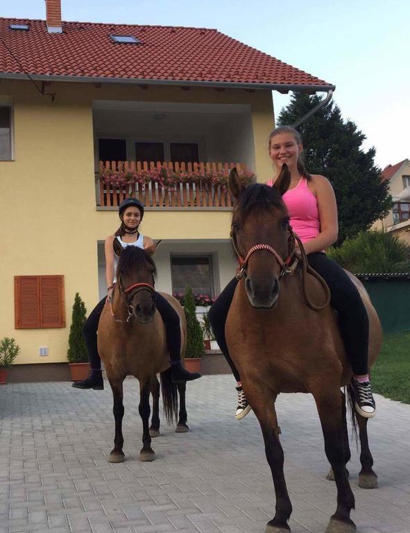 Lotuszvirag Vendeghaz Hotel Szekszard Bagian luar foto