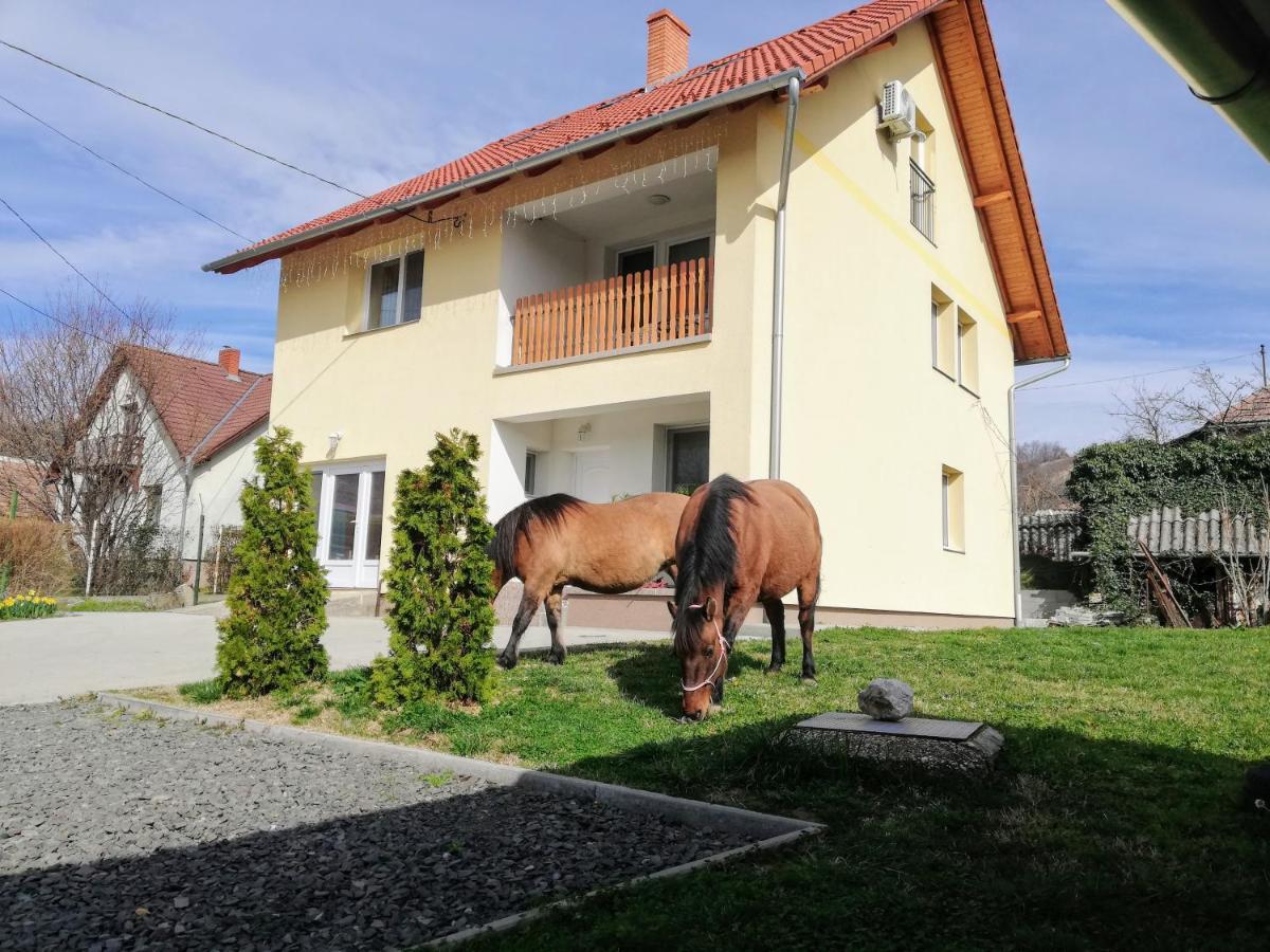 Lotuszvirag Vendeghaz Hotel Szekszard Bagian luar foto